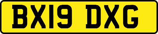 BX19DXG