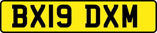 BX19DXM