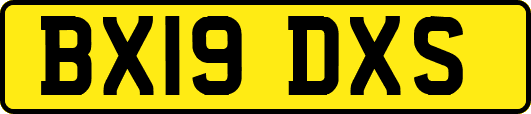 BX19DXS