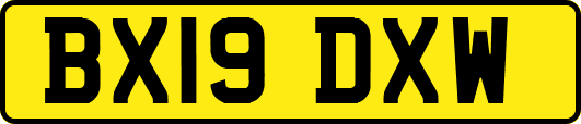 BX19DXW