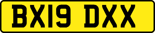 BX19DXX