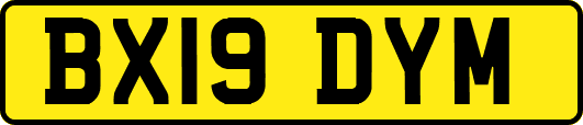 BX19DYM
