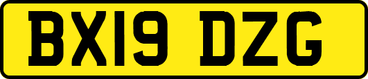 BX19DZG