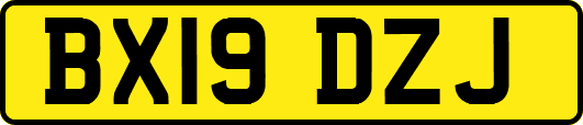 BX19DZJ