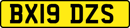 BX19DZS