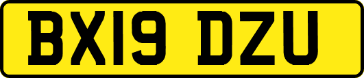 BX19DZU
