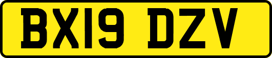 BX19DZV