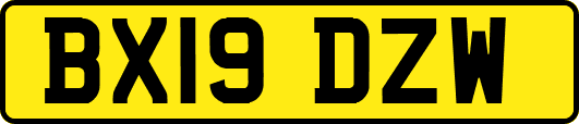 BX19DZW