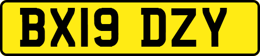 BX19DZY