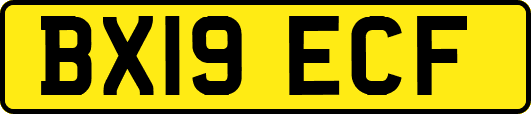 BX19ECF