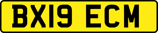 BX19ECM