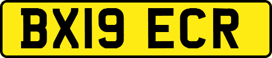 BX19ECR
