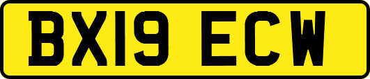 BX19ECW