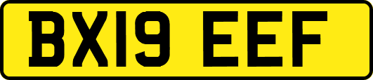 BX19EEF