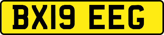 BX19EEG