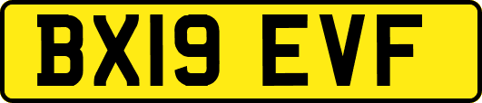 BX19EVF