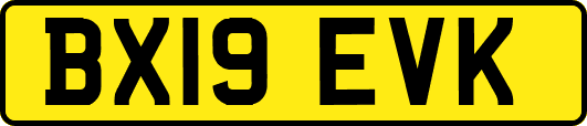 BX19EVK