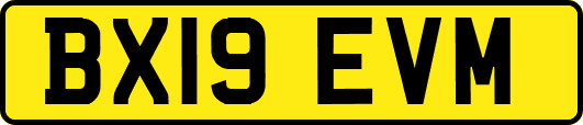 BX19EVM