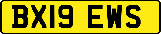 BX19EWS