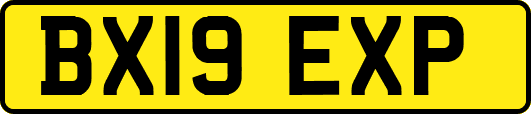 BX19EXP