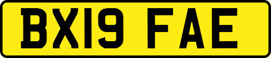 BX19FAE