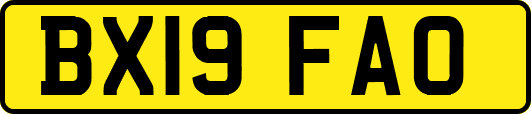 BX19FAO