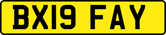 BX19FAY
