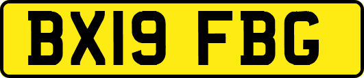 BX19FBG