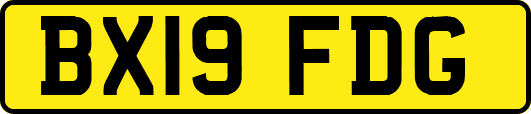 BX19FDG