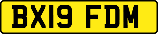 BX19FDM