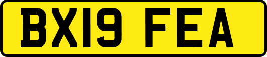 BX19FEA