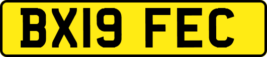 BX19FEC