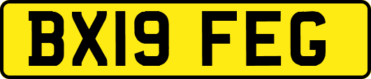 BX19FEG