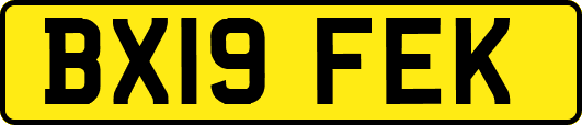 BX19FEK