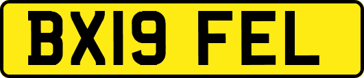 BX19FEL