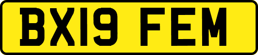 BX19FEM