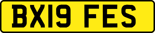 BX19FES