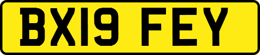 BX19FEY