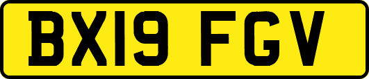 BX19FGV
