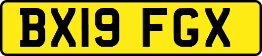 BX19FGX