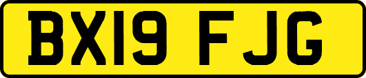BX19FJG