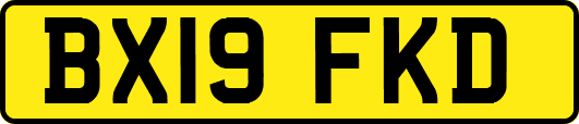 BX19FKD