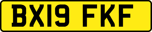 BX19FKF