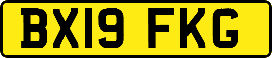 BX19FKG