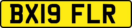 BX19FLR