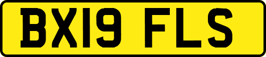 BX19FLS