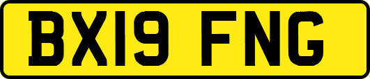BX19FNG