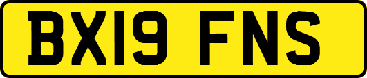 BX19FNS