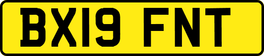 BX19FNT
