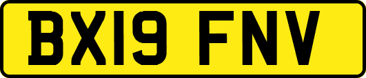 BX19FNV